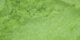 Sterling Soft Green Dust