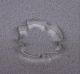 Sand Dollar 3.25 inch