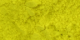 Elite Yellow Rose Dust