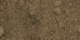 Elite Dogwood Dust