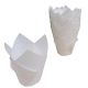 White Tulip baking cup  / Cupcake Liner  /  200 count